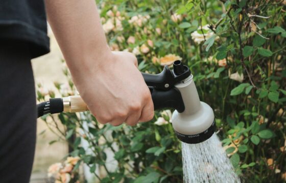 Outdoor Faucet Leaking? Check the Spout, Handle, Hose, and Wall