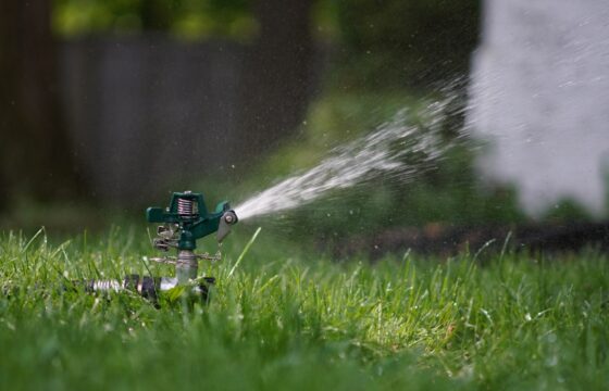 Sprinkler Head Leaking When Off? Drain-Down or a Valve Leak?