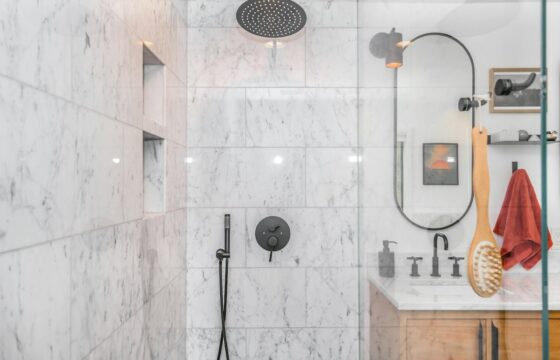 Shower Head Dripping After Shutoff? Drain-Down or a Leak?