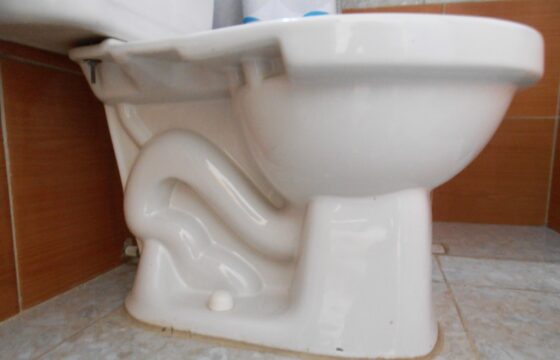 Toilet Has a Weak Flush? Check the Tank and Drain Separately