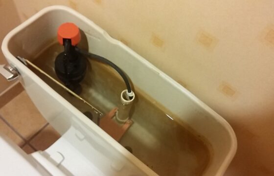 Toilet Dye Test: Check for a Silent Tank-to-Bowl Leak