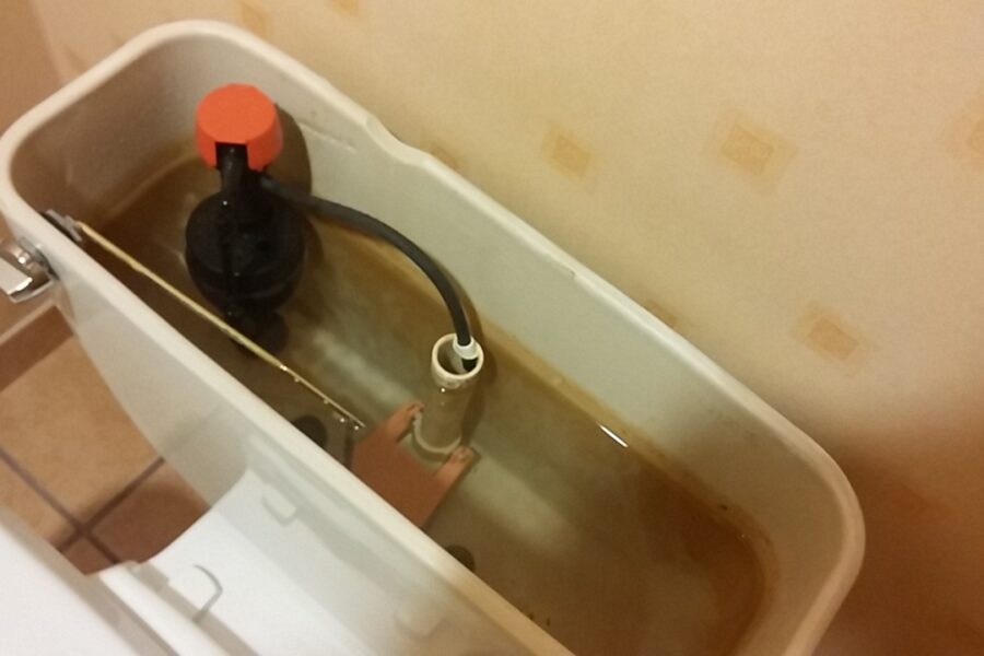 Open gravity toilet tank with a fill valve, refill tube, overflow tube, and flapper.