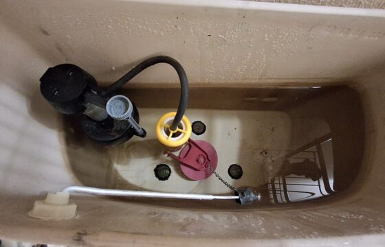 Toilet Flapper vs. Fill Valve: Which Part Do You Need?
